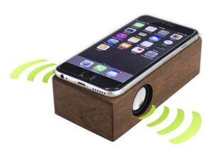 Parlante Inducción De Nogal