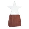 Trofeo De Lonely Star